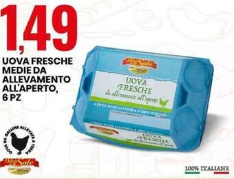 Eurospin UOVA FRESCHE MEDIE DA ALLEVAMENTO ALL'APERTO, 6 PZ offerta