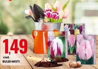Eurospin BULBI MISTI offerta