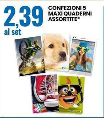 Eurospin CONFEZIONI 5 MAXI QUADERNI ASSORTITE* offerta