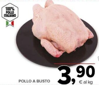 Todis POLLO A BUSTO offerta