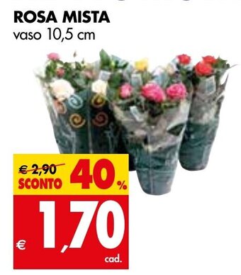 Tigros ROSA MISTA vaso 10,5 cm offerta