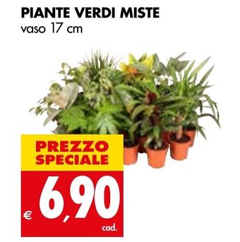 Tigros PIANTE VERDI MISTE vaso 17 cm offerta