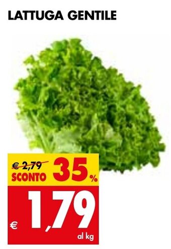 Tigros LATTUGA GENTILE offerta