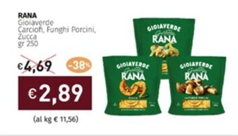 Prezzemolo e Vitale RANA Gioiaverde Carciofi, Funghi Porcini, Zucca gr 250 offerta