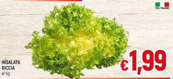 A&O INSALATA RICCIA al kg offerta