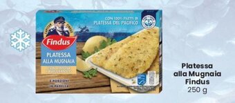 Despar Platessa alla Mugnaia Findus 250 g offerta