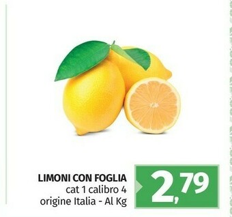 Pam Limoni Con Foglia offerta