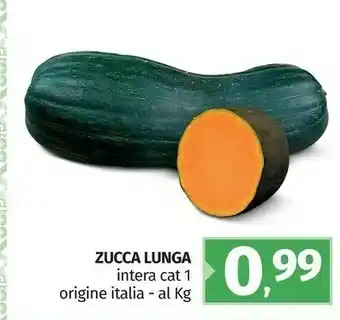 Pam Zucca Lunca offerta