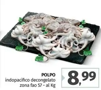 Pam Polpo Indopacifico offerta