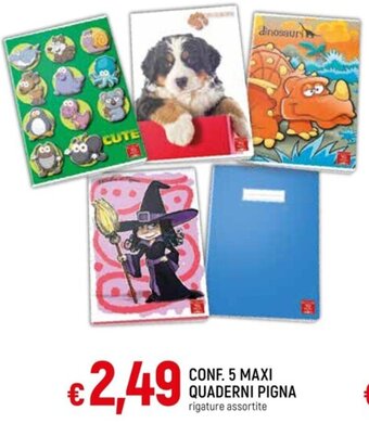 CONF. 5 MAXI QUADERNI PIGNA rigature assortite