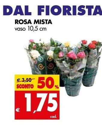 Tigros Rosa Mista offerta