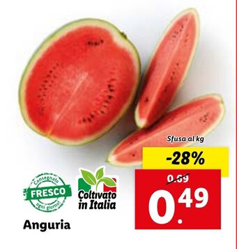 Lidl Anguria offerta
