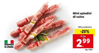 Lidl Mini spiedini di suino 400 g offerta