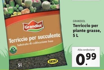 Lidl Grandiol Terriccio per piante grasse, 5L offerta