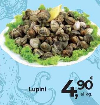 Supermercati Dok Lupini offerta