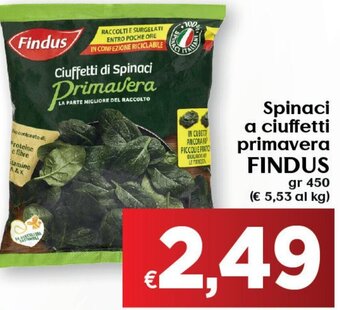Maxi Supermercati Spinaci a ciuffetti primavera FINDUS gr 450 offerta