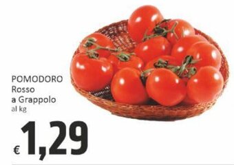 Paghi Poco POMODORO Rosso a Grappolo offerta