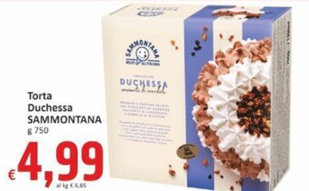 Torta Duchessa SAMMONTANA g 750