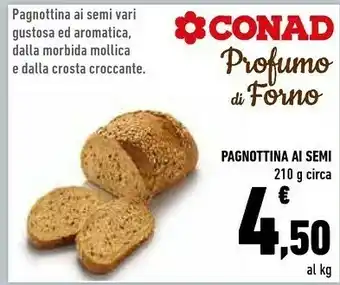Conad Conad Pagnottina Ai Semi 210g offerta