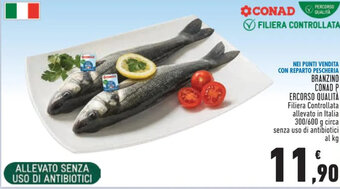 Conad BRANZINO CONAD P ERCORSO QUALITÀ 300/600 g circa offerta