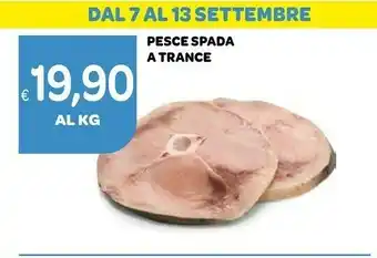 Ekom Pesce spada offerta