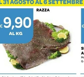 Ekom Pesce offerta