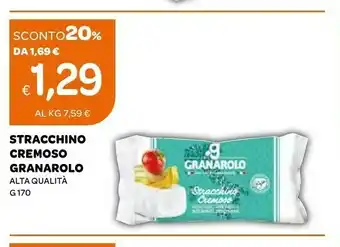 Ekom Granarolo Stracchino offerta