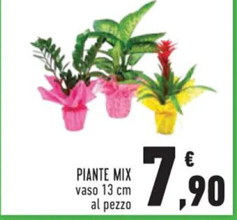 Conad Superstore PIANTE MIX offerta