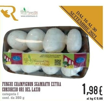 Conad City Funghi Champignon Sgambato Extra Consorzio Ori Del Lazio offerta