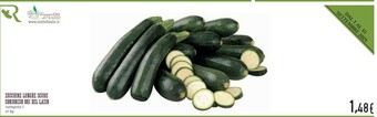 Conad City Consorzio ori del lazio Zucchine offerta