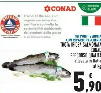 Conad Conad Trota Iridea Salmonata offerta