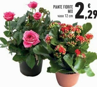 Conad Piante Fiorite Mix offerta