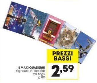 5 MAXI QUADERNI rigature assortite 20 fogli g 80