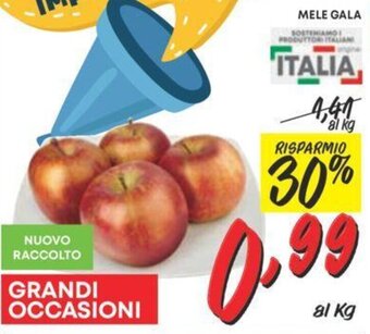 Pam MELE GALA offerta