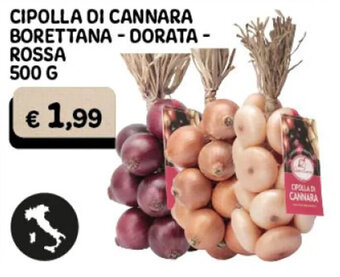 CIPOLLA DI CANNARA BORETTANA - DORATA - ROSSA 500 G