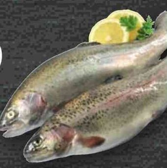 Bennet TROTA IRIDEA SALMONATA FILIERA VALORE BENNET offerta
