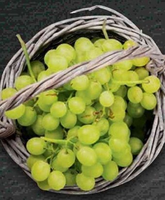 Bennet UVA DA TAVOLA DI MAZZARRONE IGP offerta