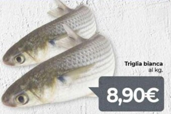 Eurospar Triglia bianca offerta