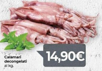 Eurospar Calamari decongelati offerta