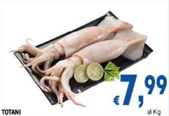 DEM TOTANI offerta