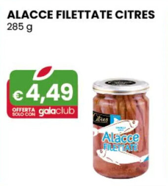 ALACCE FILETTATE CITRES 285 g