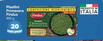 Carrefour Express Pisellini Primavera Findus 450 g offerta