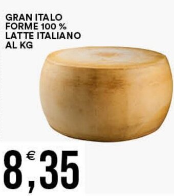 Vantaggio Cash&Carry GRAN ITALO FORME 100% LATTE ITALIANO AL KG offerta
