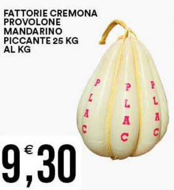 Vantaggio Cash&Carry FATTORIE CREMONA PROVOLONE MANDARINO PICCANTE 25 KG AL KG offerta