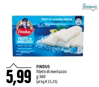 Emi Supermercati FINDUS filetti di merluzzo g360 offerta