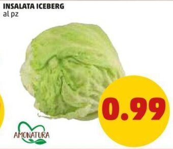 PENNY INSALATA ICEBERG offerta