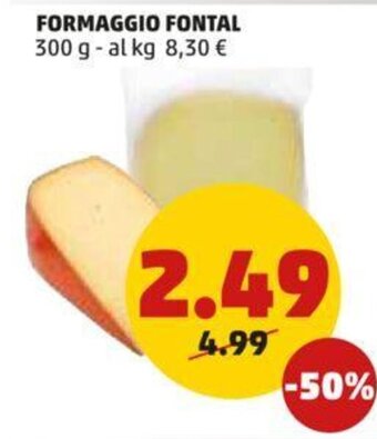 PENNY FORMAGGIO FONTAL 300 g offerta