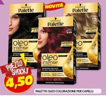 Risparmio Casa PALETTE OLEO COLORAZIONE PER CAPELLI offerta