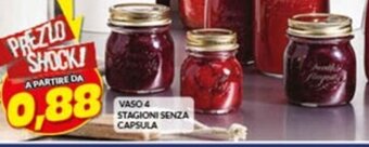 Risparmio Casa VASO 4 STAGIONI SENZA CAPSULA offerta
