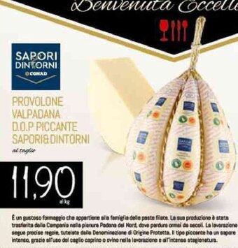 Conad PROVOLONE VALPADANA D.O.P PICCANTE SAPORI& DINTORNI offerta